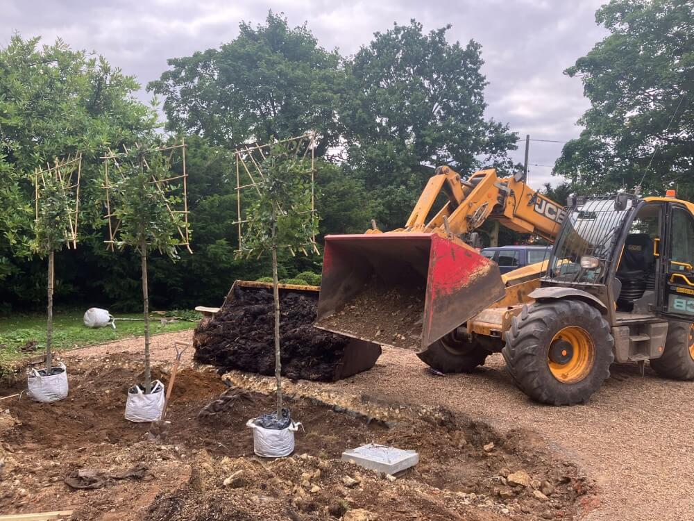 Tree Removal Services in Lincolnshire